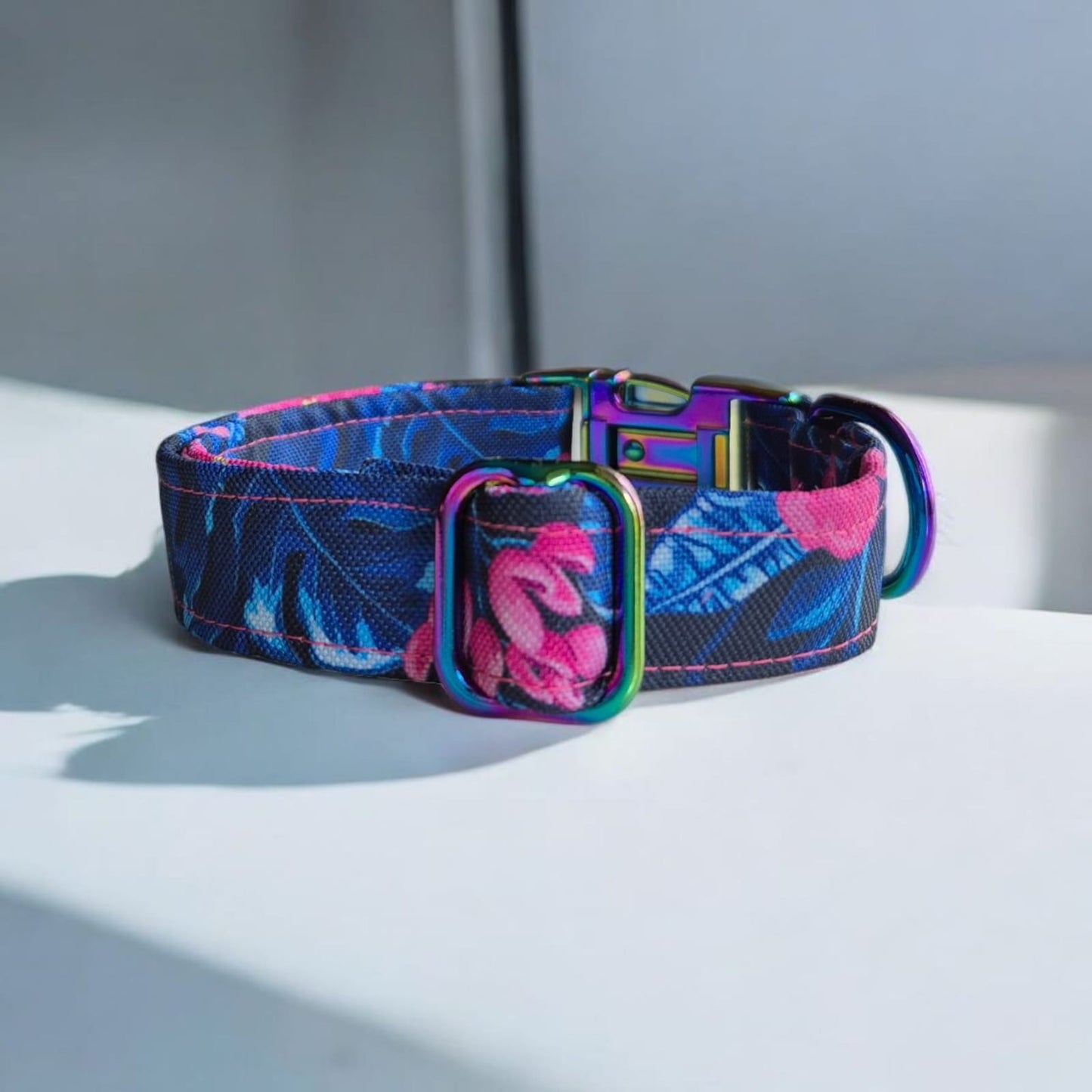 Summer Limited Edition Personalized Dog Collars – Durable, Stylish, and Custom-made