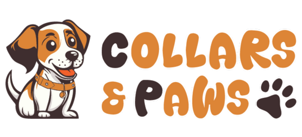 Collars&Paws