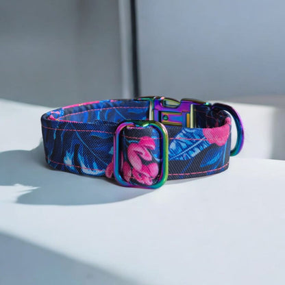 Summer Limited Edition Personalized Dog Collars – Durable, Stylish, and Custom-made