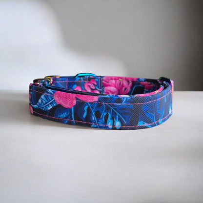 Summer Limited Edition Personalized Dog Collars – Durable, Stylish, and Custom-made