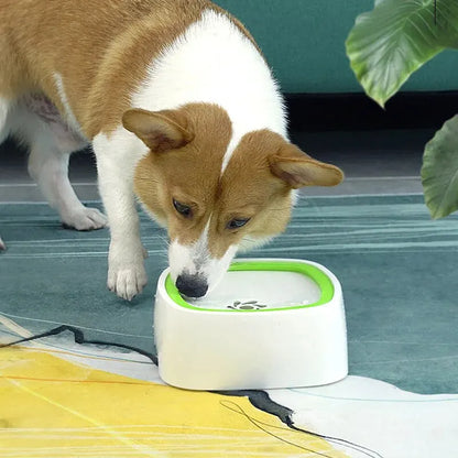 Splash-Proof Water Bowl for Pets