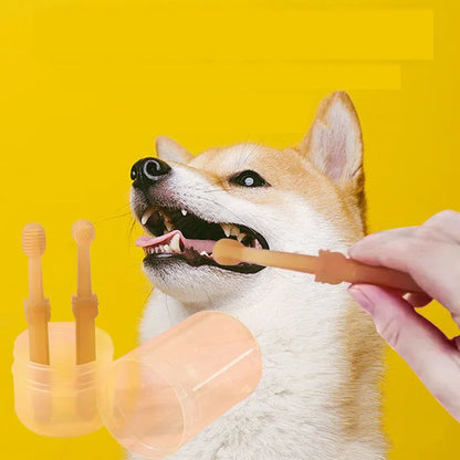 Pet Toothbrush