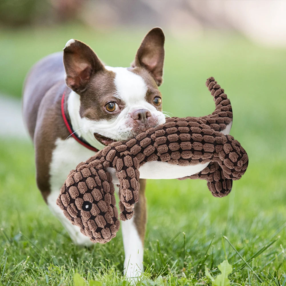 Indestructible Dog Toys