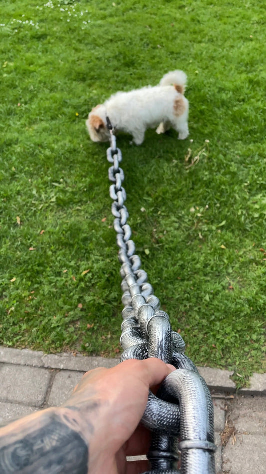 Funny Dog Chain Leash -Laugh Generator