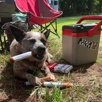 Cigarette Dog Toy